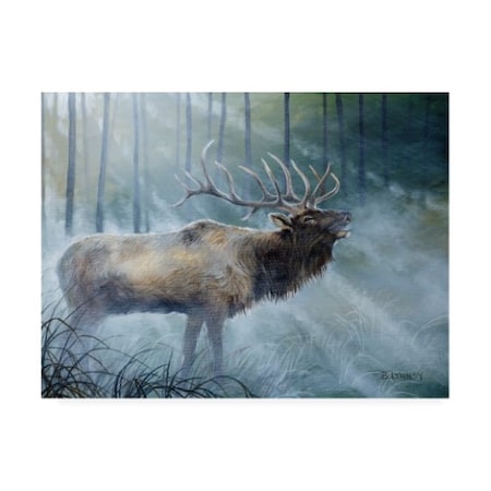 B. Lynnsy 'Elk Journey Iii' Canvas Art,35x47